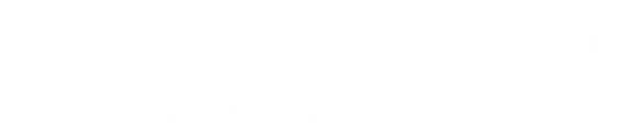 Business-Odoo Integration
